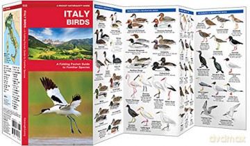 Italy Birds: A Folding Pocket Guide to Familiar Species [KSIĄŻKA]