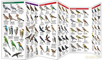 Italy Birds: A Folding Pocket Guide to Familiar Species [KSIĄŻKA]