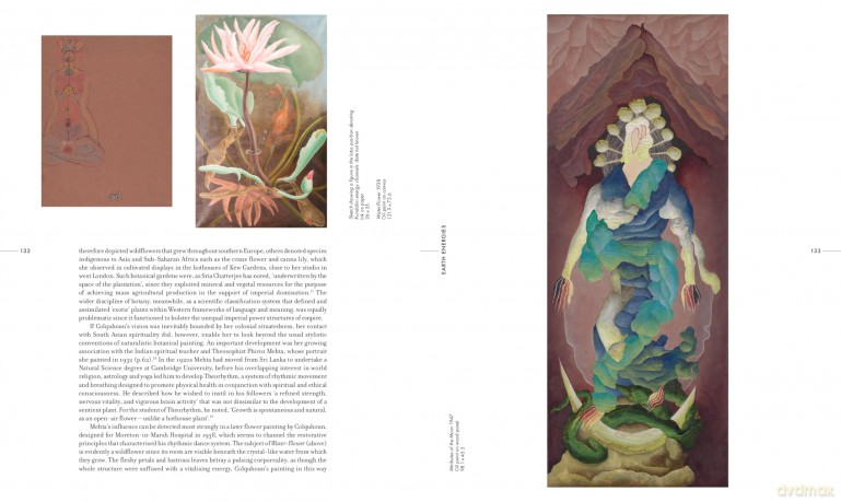 Ithell Colquhoun: Between Worlds [KSIĄŻKA]