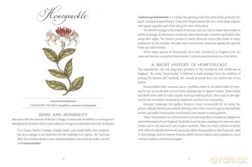 Jane Austen's Garden: A Botanical Tour of the Classic Novels [KSIĄŻKA]