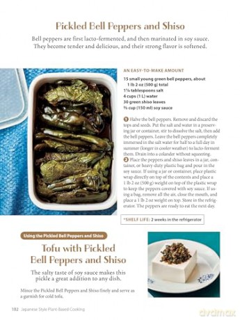 Japanese Style Plant-Based Cooking: Amazing Vegan Recipes from Japan's Leading Macrobiotic Chef and Food Writer [KSIĄŻKA]