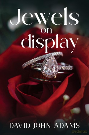 Jewels on Display [KSIĄŻKA]
