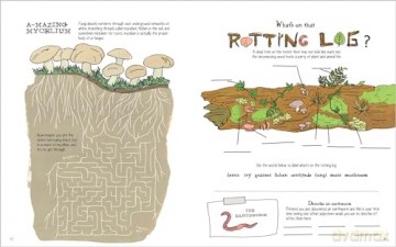 Julia Rothman's Nature Anatomy Activity Book: Match-Ups, Word Puzzles, Quizzes, Mazes, Projects, Secret Codes + Lots More [KSIĄŻKA]