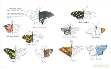 Julia Rothman's Nature Anatomy Activity Book: Match-Ups, Word Puzzles, Quizzes, Mazes, Projects, Secret Codes + Lots More [KSIĄŻKA]