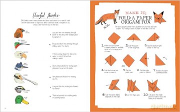 Julia Rothman's Nature Anatomy Activity Book: Match-Ups, Word Puzzles, Quizzes, Mazes, Projects, Secret Codes + Lots More [KSIĄŻKA]