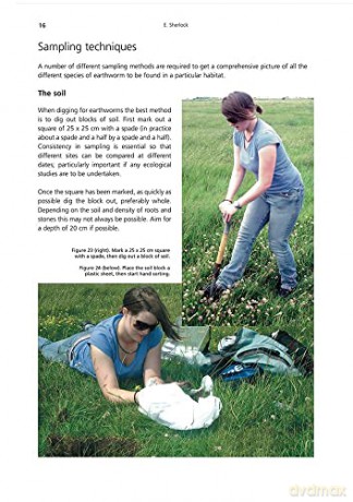 Key to the Earthworms of the UK and Ireland [KSIĄŻKA]