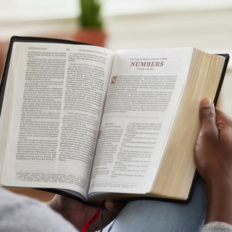 KJV Large Print Reference Bible, Purple Leathersoft, Red Letter, Comfort Print [KSIĄŻKA]