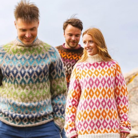 Knit Modern Scandi Sweaters: Knitting patterns for bright and beautiful Nordic knits [KSIĄŻKA]