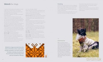 Knits for You and Your Dog: 10 Sweater Designs to Make for You and Your Pet [KSIĄŻKA]