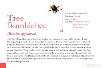 Know Your Bees [KSIĄŻKA]