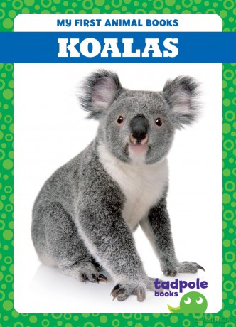 Koalas [KSIĄŻKA]