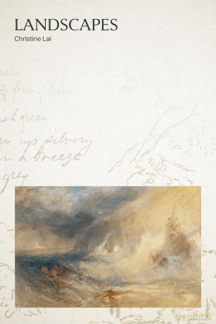 Landscapes [KSIĄŻKA]