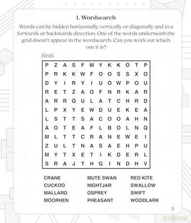 Large Print Brain Game Puzzles - Calm [KSIĄŻKA]