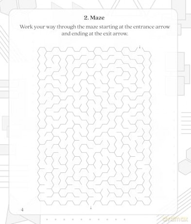 Large Print Brain Game Puzzles - Calm [KSIĄŻKA]