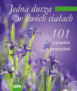 Jedna dusza w dwóch ciałach [KSIĄŻKA]