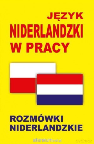 Język niderlandzki w pracy. Rozmówki niderlandzkie [KSIĄŻKA]