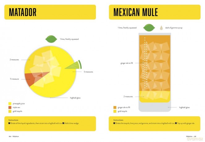 Lessons in Mixology: A Graphic Guide to Making the Perfect Cocktail [KSIĄŻKA]