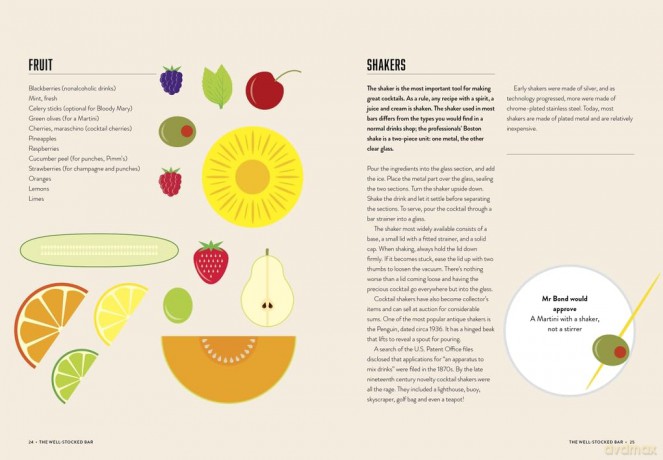 Lessons in Mixology: A Graphic Guide to Making the Perfect Cocktail [KSIĄŻKA]