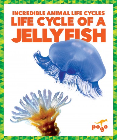 Life Cycle of a Jellyfish [KSIĄŻKA]