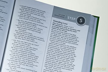 Life Recovery Bible NLT, Large Print: New Living Translation [KSIĄŻKA]