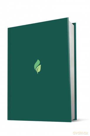 Life Recovery Bible NLT, Large Print: New Living Translation [KSIĄŻKA]