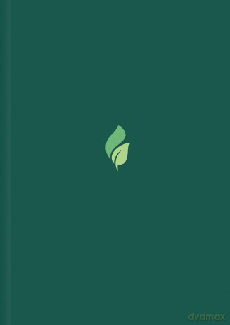 Life Recovery Bible NLT, Large Print: New Living Translation [KSIĄŻKA]