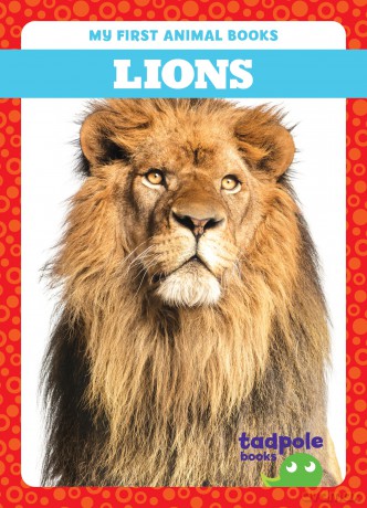 Lions [KSIĄŻKA]