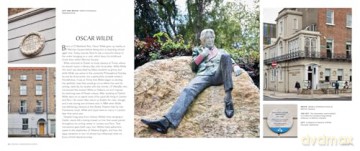 Literary Landscapes: Dublin: A new photographic guide to Ireland's capital city for lovers of bookshops, reading and culture - a great St Patrick's Day 2025 gift [KSIĄŻKA]