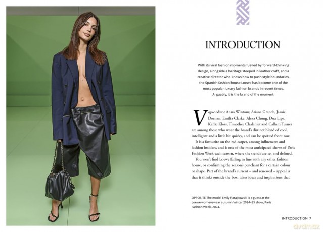 Little Book of Loewe: The Story of the Iconic Design House [KSIĄŻKA]