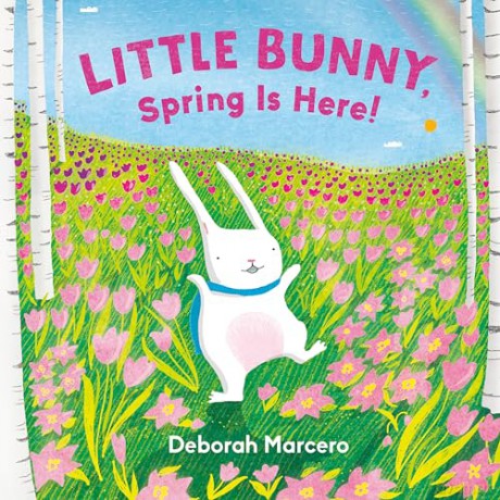 Little Bunny, Spring Is Here!: 1 [KSIĄŻKA]