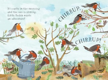 Little Robin's Book of Birds: 16 [KSIĄŻKA]