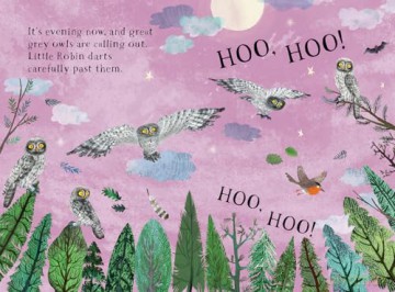 Little Robin's Book of Birds: 16 [KSIĄŻKA]