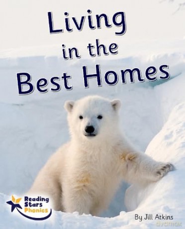 Living in the Best Homes: Phase 5 [KSIĄŻKA]