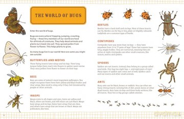 Lonely Planet Kids Explorer's Nature Journal [KSIĄŻKA]