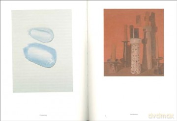 Luc Tuymans: Catalogue Budapest and Warsaw [KSIĄŻKA]