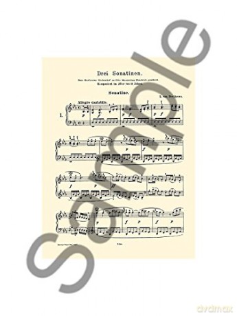 Ludwig Van Beethoven: Sonatinas. Sheet Music for Piano [KSIĄŻKA]