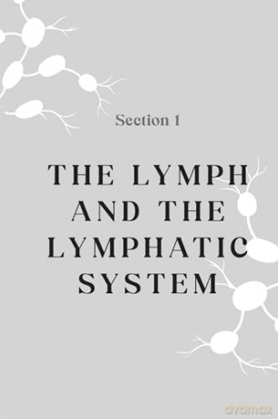 Lymphatic System Handbook, The: Proven Lymphatic Drainage Massage Techniques and At-Home Strategies for Reducing Inflammation and Managing Chronic Ailments [KSIĄŻKA]