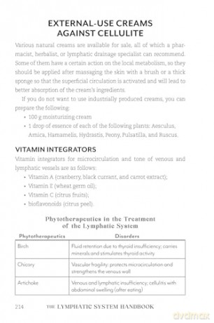 Lymphatic System Handbook, The: Proven Lymphatic Drainage Massage Techniques and At-Home Strategies for Reducing Inflammation and Managing Chronic Ailments [KSIĄŻKA]