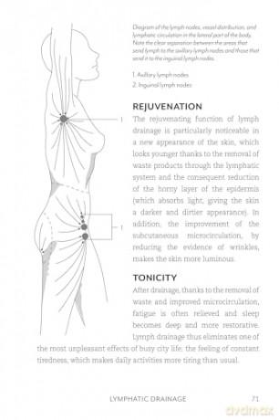 Lymphatic System Handbook, The: Proven Lymphatic Drainage Massage Techniques and At-Home Strategies for Reducing Inflammation and Managing Chronic Ailments [KSIĄŻKA]