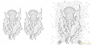 Magical Nature: Colouring Book [KSIĄŻKA]