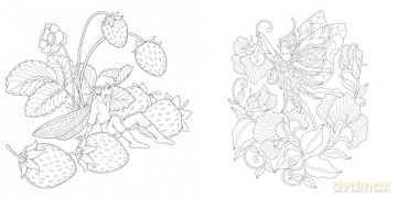 Magical Nature: Colouring Book [KSIĄŻKA]