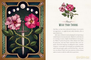 Maia Toll's Wild Wisdom Tattoos: 60 Temporary Tattoos plus 10 Collectible Guided-Ritual Cards [KSIĄŻKA]