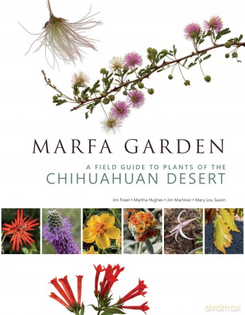 Marfa Garden: A Field Guide to Plants of the Chihuahuan Desert [KSIĄŻKA]
