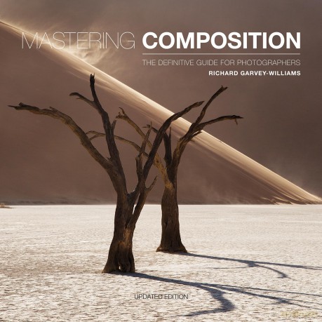 Mastering Composition: The Definitive Guide for Photographers [KSIĄŻKA]