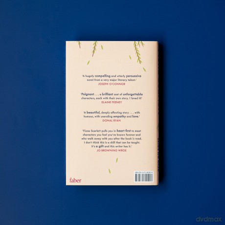 May All Your Skies Be Blue: An unforgettable novel perfect for fans of Louise Kennedy and Michael Magee [KSIĄŻKA]