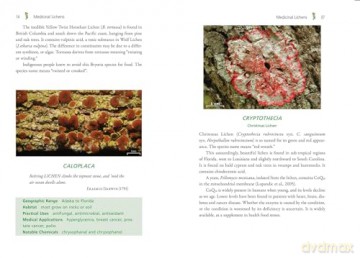 Medicinal Lichens: Indigenous Wisdom and Modern Pharmacology [KSIĄŻKA]