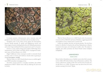 Medicinal Lichens: Indigenous Wisdom and Modern Pharmacology [KSIĄŻKA]