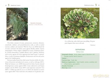 Medicinal Lichens: Indigenous Wisdom and Modern Pharmacology [KSIĄŻKA]