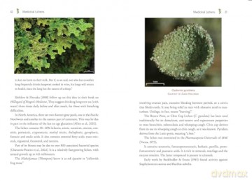 Medicinal Lichens: Indigenous Wisdom and Modern Pharmacology [KSIĄŻKA]