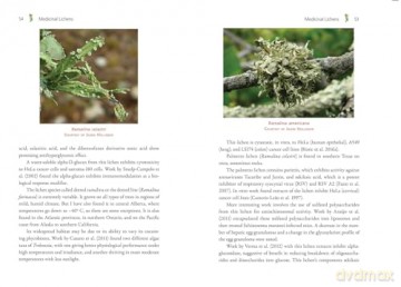 Medicinal Lichens: Indigenous Wisdom and Modern Pharmacology [KSIĄŻKA]